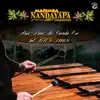 Marimba Nandayapa - Aria Para La Cuerda En Sol BWV 1068  - Single